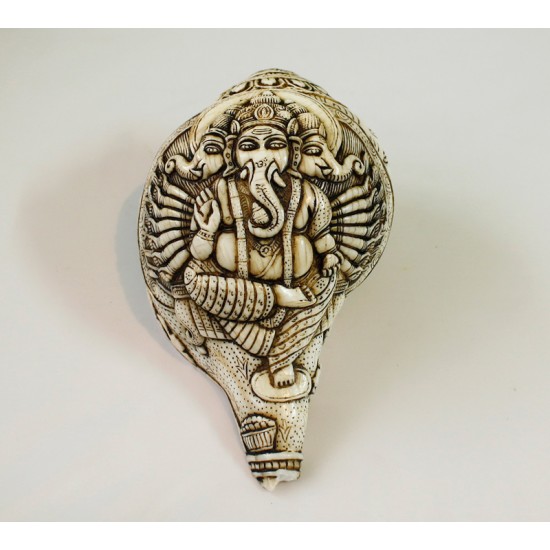 3 Headed Ganesh Conch Shell Sankha 7" H x 13" C Handcarved Nepal