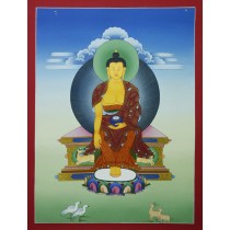 Pancha Buddha Set Tibetan Thangka Painting 19" W x 24" H