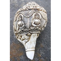 5 Buddha Carved Conch (Sankha) 12" C x 7" H