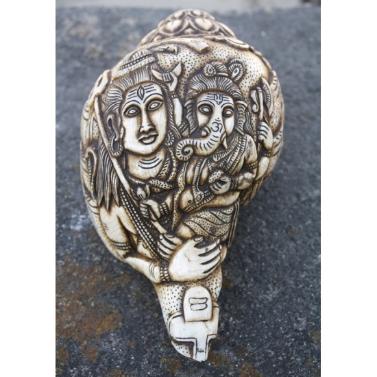 Shiva and Ganesh Carved Sankha/Conch 12" C x 7" H