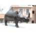 Wooden Rhino 9.5" W x 5" H