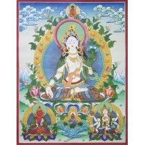 White Tara Tibetan Thangka Painting 20" W x 25" H